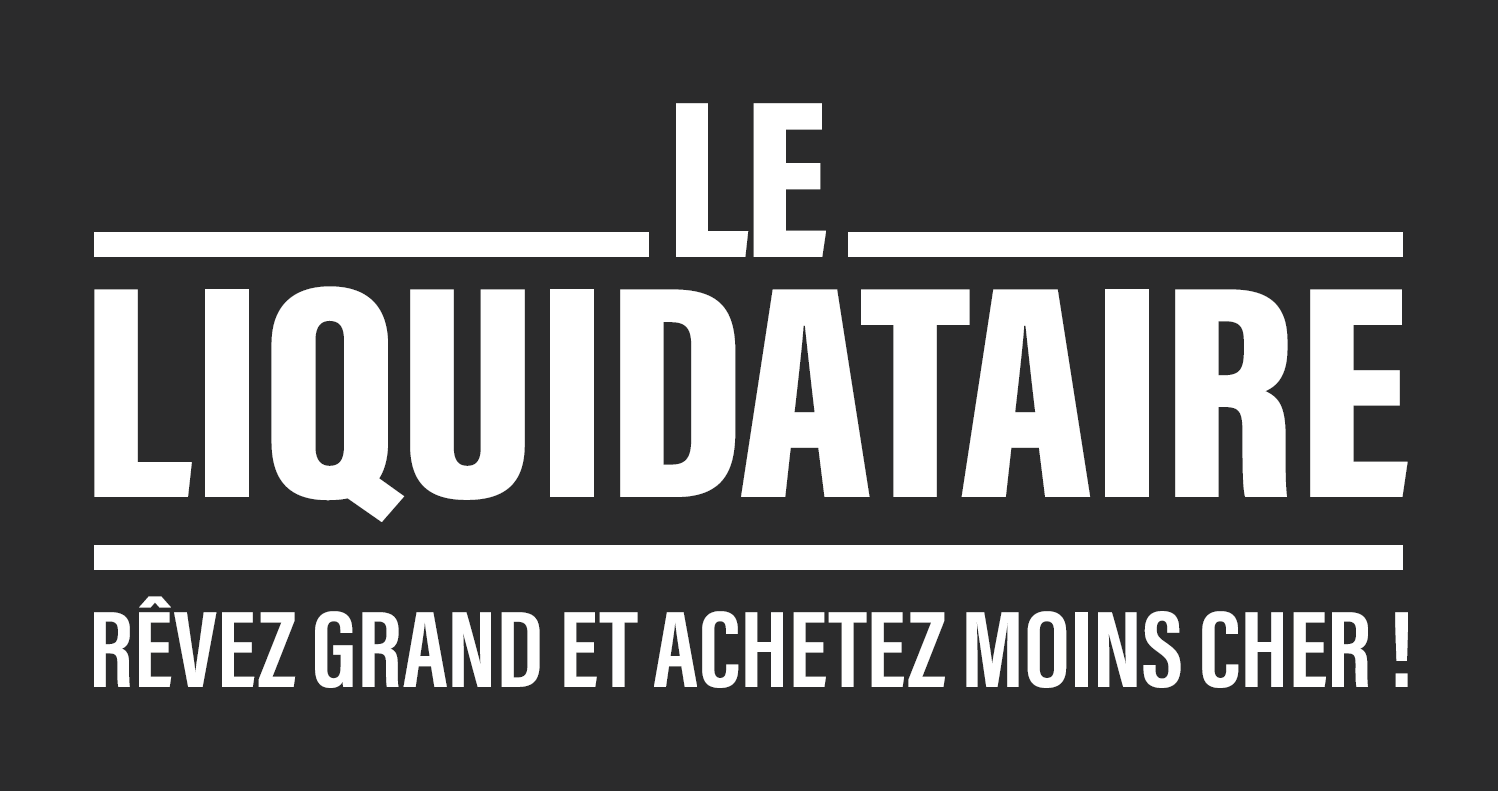 logo Le Liquidataire
